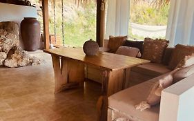 Cocotier, Elegant T3 Avec Jardin Tropical